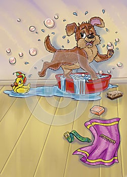 illustration of the bathing dog