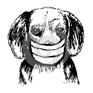 Illustration of Beagle dog with mask