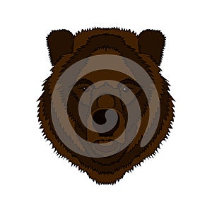 Illustration of a bear s head. Vector graphics. Hand drawing