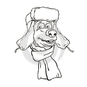 Illustration of a bear`s head in winter hat and scarf