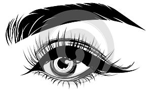 Illustration of eye makeup and brow on white background