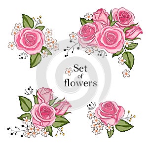 Illustration of beautiful pink flowers of roses.
