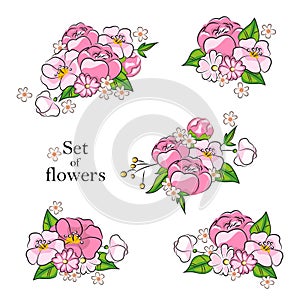 Illustration of beautiful pink wildflowers