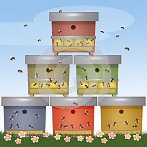 Illustration of bee beehives
