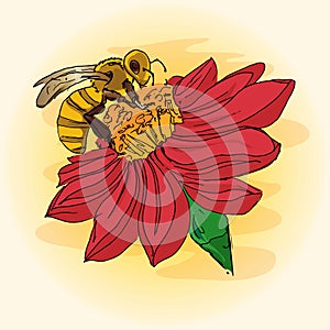 Illustration of a bee on a flower, pollination, hand-drawing.