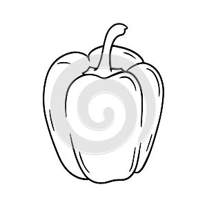 Illustration of a bell pepper in a hand-drawn style.