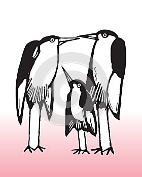 Illustration of bird family