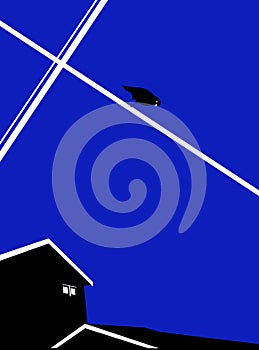 Illustration of a bird looking down over a house