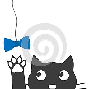 Illustration of black cat and blue bow tie