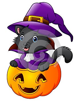Black cat dressed as witch on a halloween pumpkin