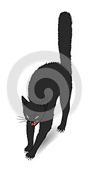 Illustration of a black cat for Halloween design