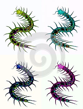 Illustration of a black centipede, Myriapoda