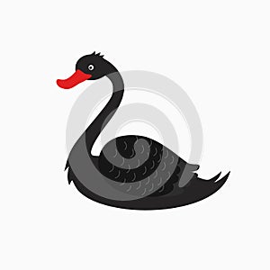 Illustration of a black swan