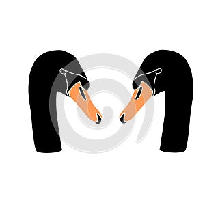 illustration of black two swan with orange beak
