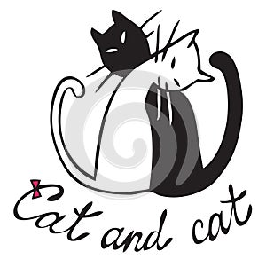 Illustration  black and white cat