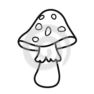 Illustration black and white mushrooms