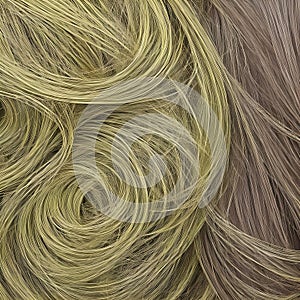 Illustration of blond curly hair in two shades. Back view hairstyle with long wavy hair. The image was created using generative AI