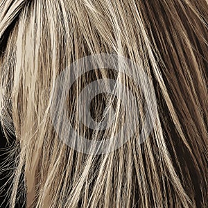 Illustration of blond smooth hair. Back view hairstyle with long wavy hair. The image was created using generative AI