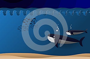 Illustration of blue whale and baby dive in under the sea with g