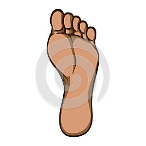 Illustration of body part, plant or sole of right foot, afrodescendant