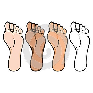 Illustration of body part, plant or sole of right foot, ethnicity