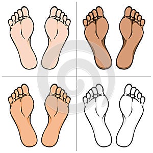 Illustration of body part, plant or sole of right foot, ethnicity