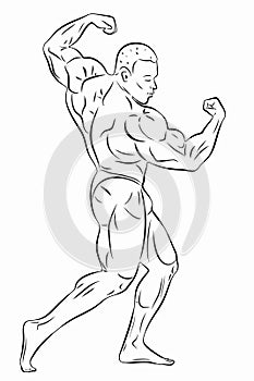 Illustration of bodybuilder , vector drawing