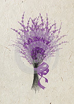 Illustration of bouquet lavender with lilac festive ribbon isolated on beige rice paper background.
