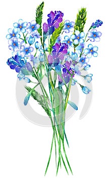 An illustration with a bouquet of the watercolor blue forget-me-not flowers (Myosotis), lavender flowers and spikelets