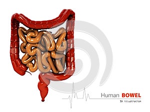 Illustration of Bowels abstract scientific background