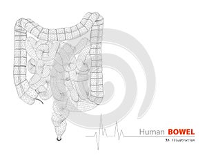 Illustration of Bowels abstract scientific background