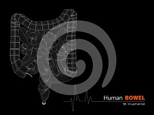 Illustration of Bowels abstract scientific background