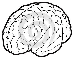 Illustration of a brain