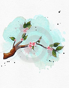 Illustration of a branch with spring blossoms.  Watercolor and ink digital drawing