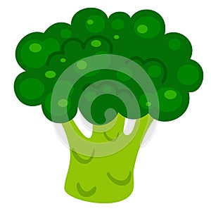 illustration of broccoli white on background