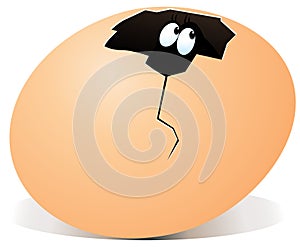 Illustration of broken egg with surprise inside