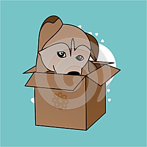 Illustration of Brown Dog in the Box Cartoon, Cute Funny Character, Flat Design