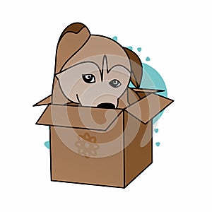 Illustration of Brown Dog in the Box Cartoon, Cute Funny Character, Flat Design