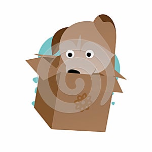 Illustration of Brown Dog in the Box Cartoon, Cute Funny Character, Flat Design