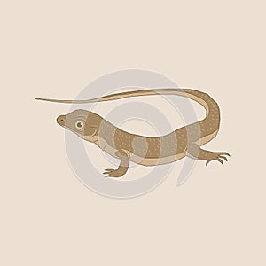 Illustration of a brown lizard with a long tail