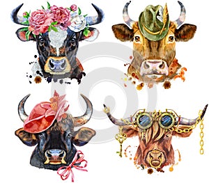 Set of watercolor bulls on white background.
