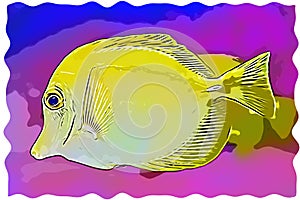Bubbles, the yellow tang fish illustration