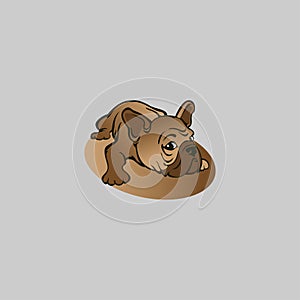 Illustration bulldog on grey background