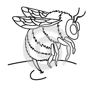 Illustration of Bumblebee Sting