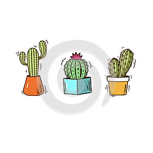 Illustration cactus procreate drawing