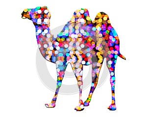 Illustration of a camel in a colorful pattern isolated on a white background