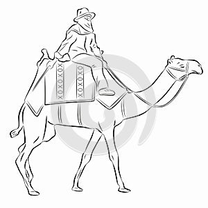 Illustration of a cameleer , vector draw