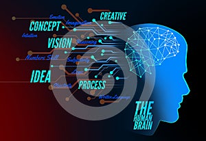 illustration of the capabilities of the human brain and its functions in the form of infographics