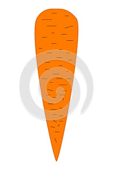Illustration of carrot photo