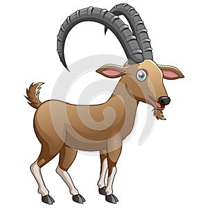 illustration of Cartoon alpine ibex isolated